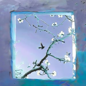 国模少妇无码一区二区三区
